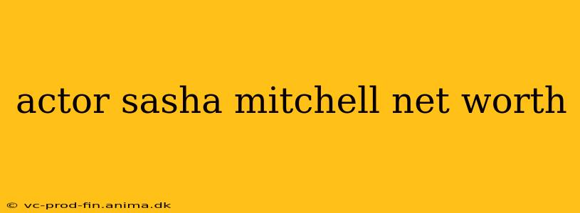actor sasha mitchell net worth