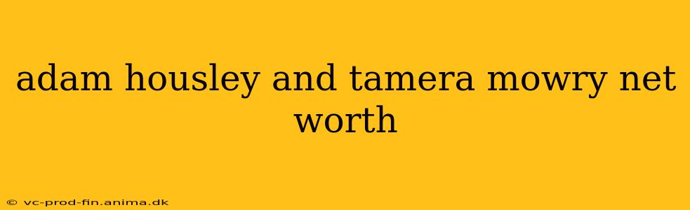 adam housley and tamera mowry net worth