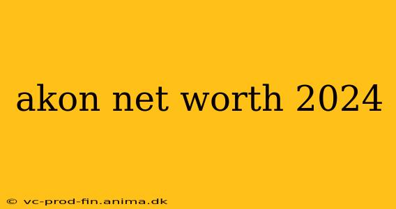 akon net worth 2024