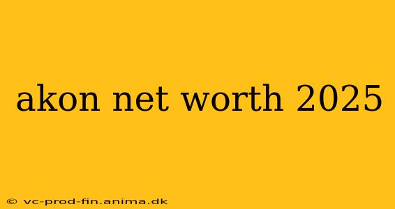 akon net worth 2025
