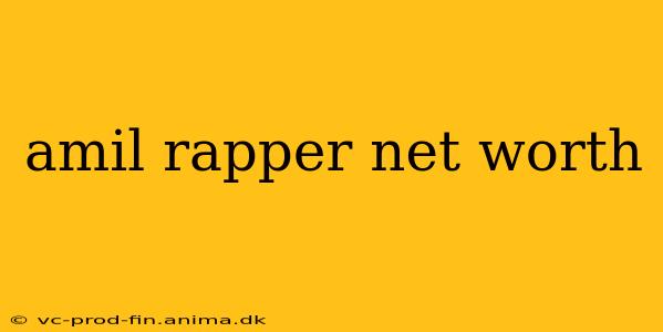 amil rapper net worth