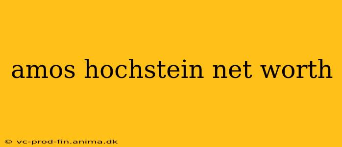 amos hochstein net worth