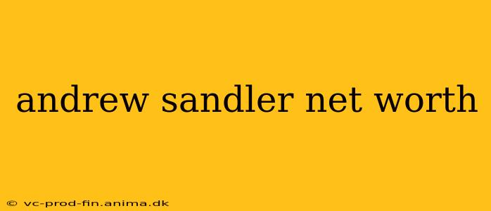 andrew sandler net worth
