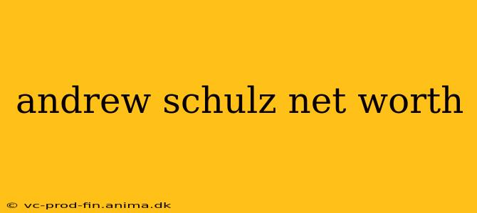 andrew schulz net worth