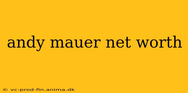 andy mauer net worth