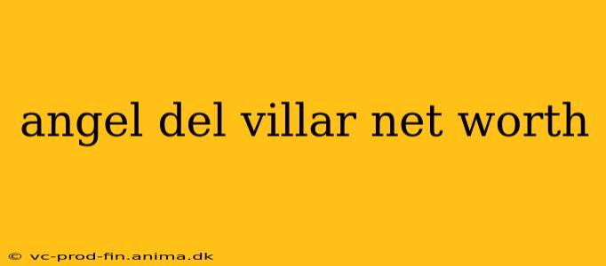 angel del villar net worth