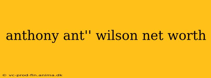 anthony ant'' wilson net worth