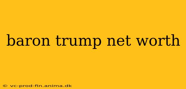 baron trump net worth