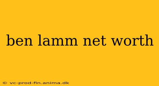 ben lamm net worth