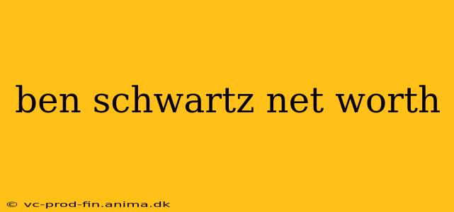 ben schwartz net worth