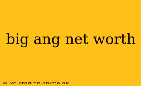 big ang net worth