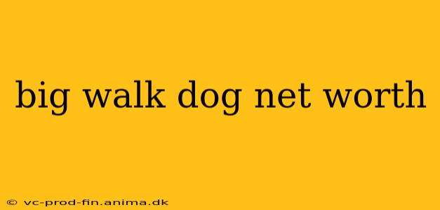big walk dog net worth