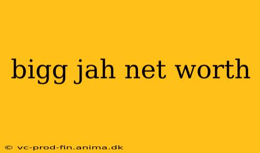 bigg jah net worth