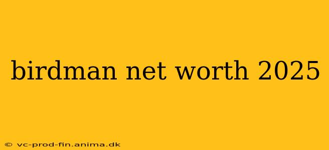birdman net worth 2025