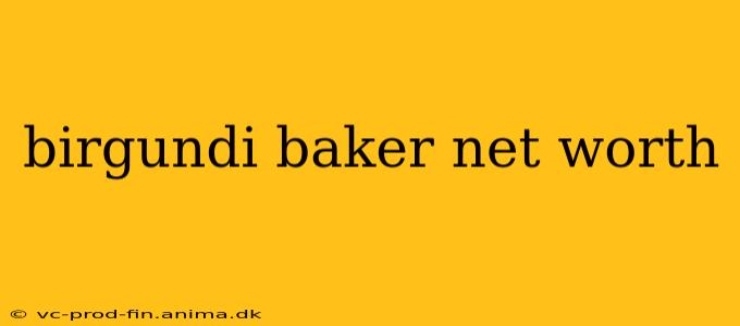 birgundi baker net worth