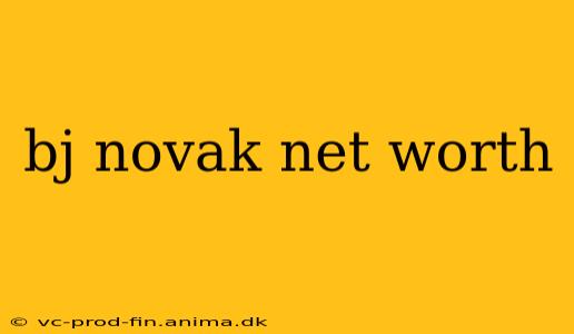 bj novak net worth