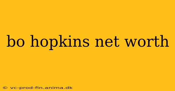 bo hopkins net worth