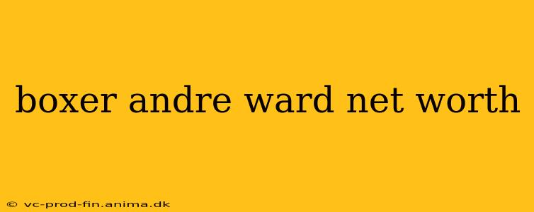 boxer andre ward net worth