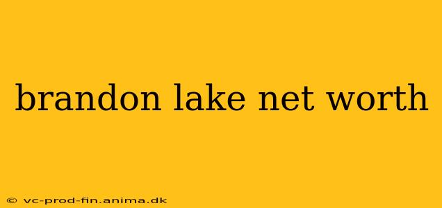 brandon lake net worth