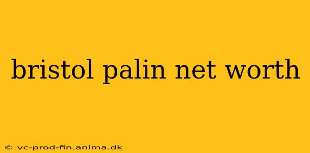 bristol palin net worth