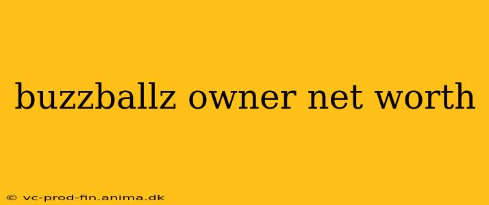 buzzballz owner net worth