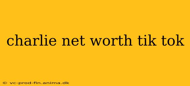 charlie net worth tik tok