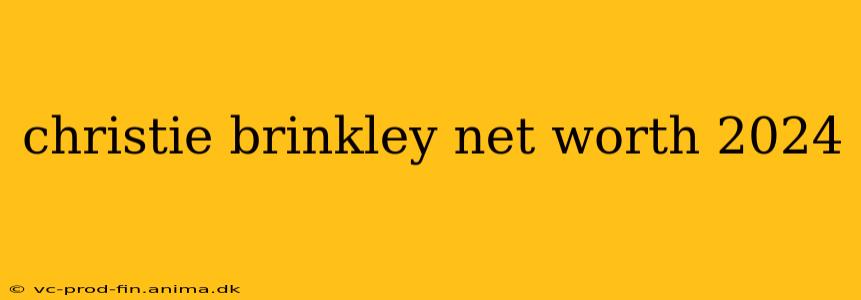 christie brinkley net worth 2024