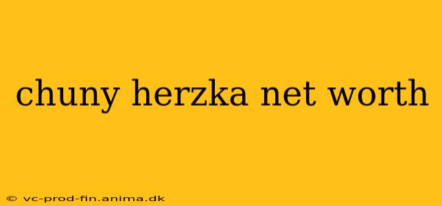chuny herzka net worth