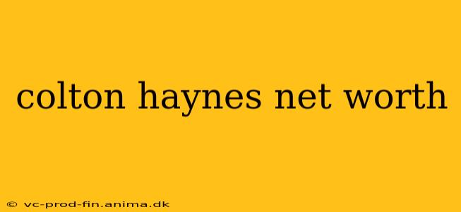 colton haynes net worth