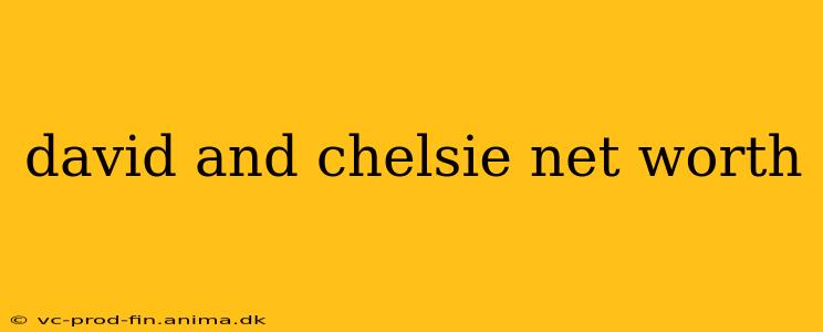 david and chelsie net worth