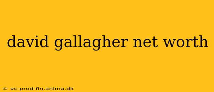 david gallagher net worth
