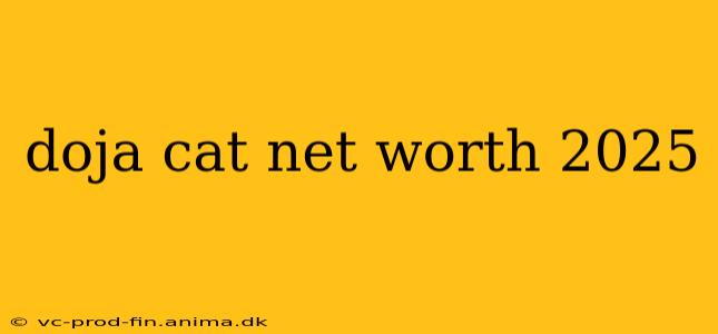 doja cat net worth 2025