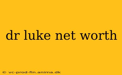 dr luke net worth