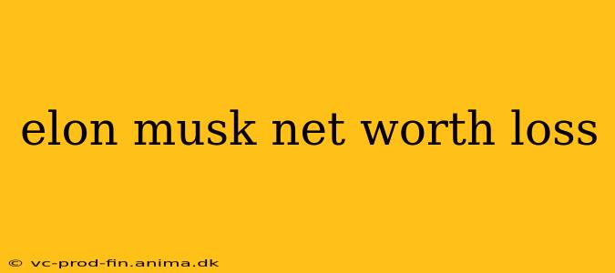 elon musk net worth loss
