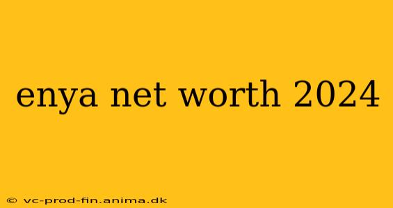 enya net worth 2024