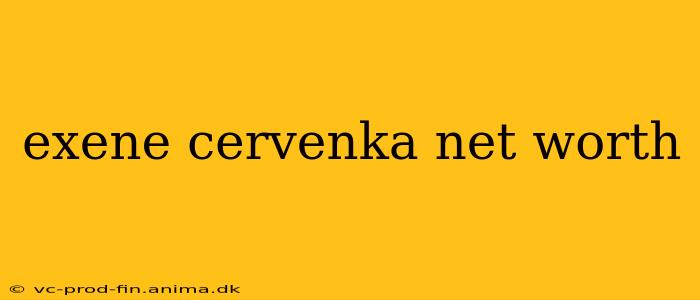 exene cervenka net worth