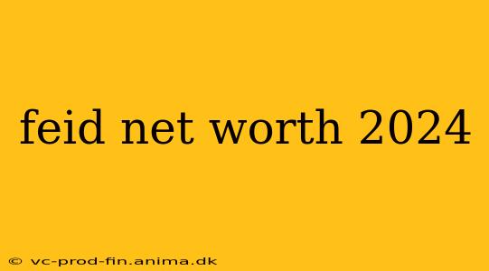 feid net worth 2024