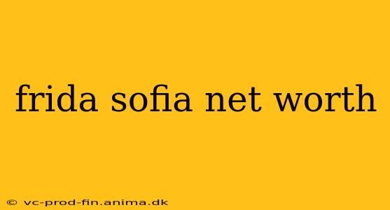 frida sofia net worth