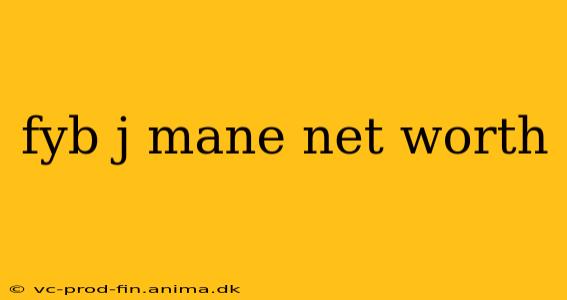 fyb j mane net worth