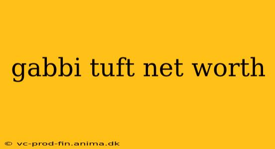 gabbi tuft net worth