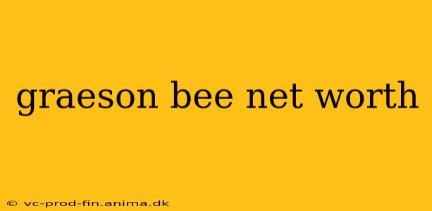 graeson bee net worth