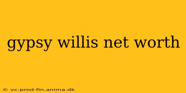 gypsy willis net worth