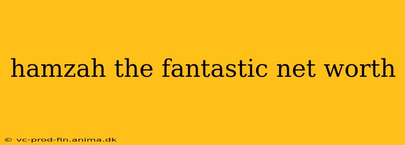 hamzah the fantastic net worth