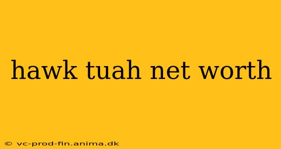 hawk tuah net worth