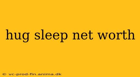 hug sleep net worth