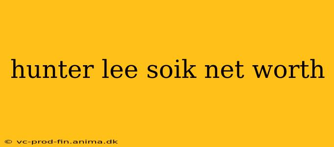 hunter lee soik net worth