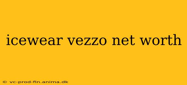 icewear vezzo net worth