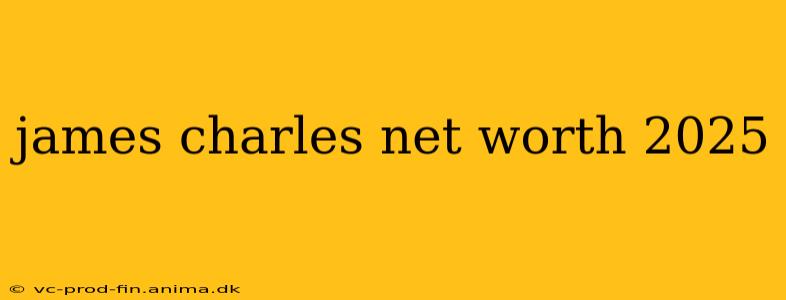 james charles net worth 2025