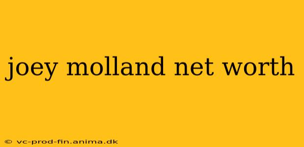 joey molland net worth