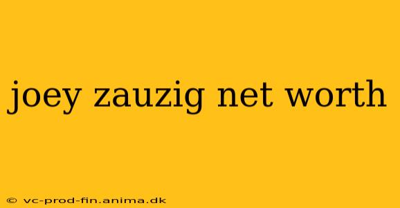 joey zauzig net worth